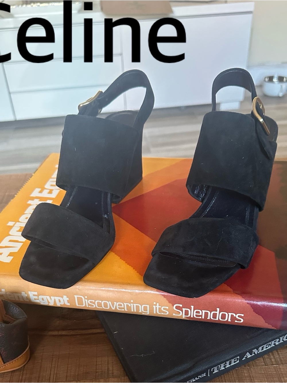 Celine Black Suede Block Heel Slingback Sandals